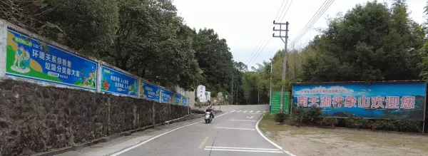 红椎树是什么样子(6)