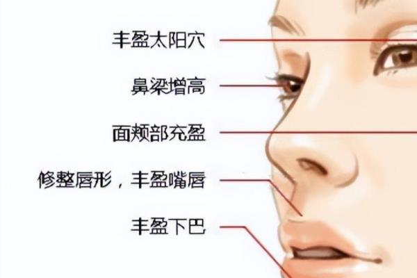 艾米乐填充的主要成分是什么.