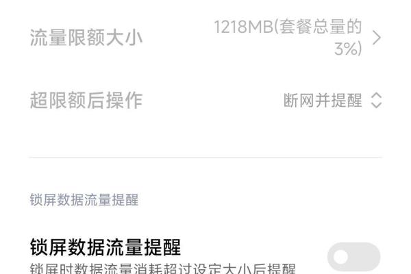 -1g总流量封顶是什么意思.
