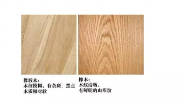 橡木是什么木材如何区分橡木与橡胶木(1)