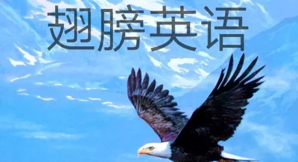 decorated是什么意思(6)