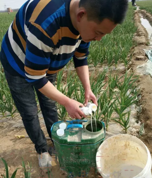 盖虫用什么药可以消灭(1)