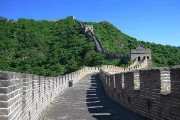 和水泥一起拌的胶水叫什么.
