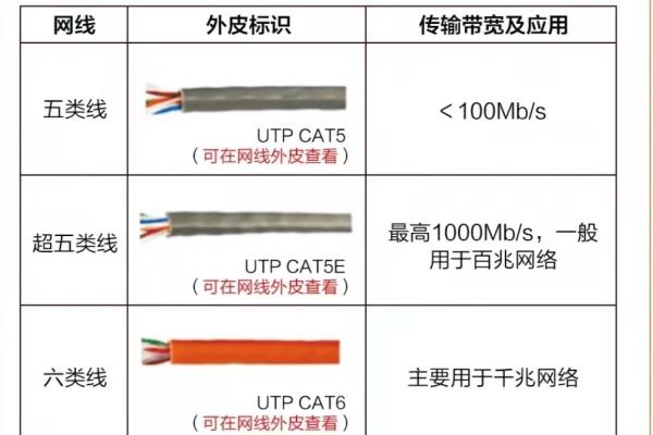 新房装修网线该谁的责任装修的啊?.
