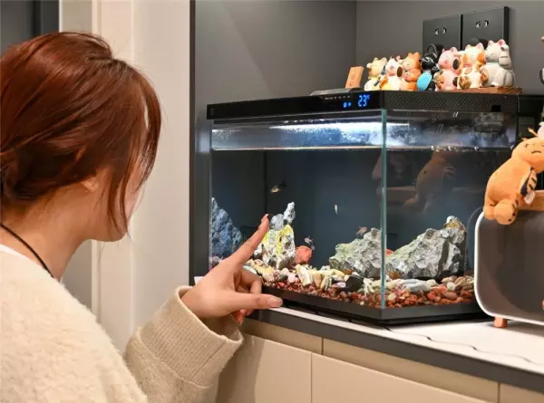 生活小家电有哪些产品(12)