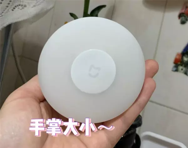 生活小家电有哪些产品(8)