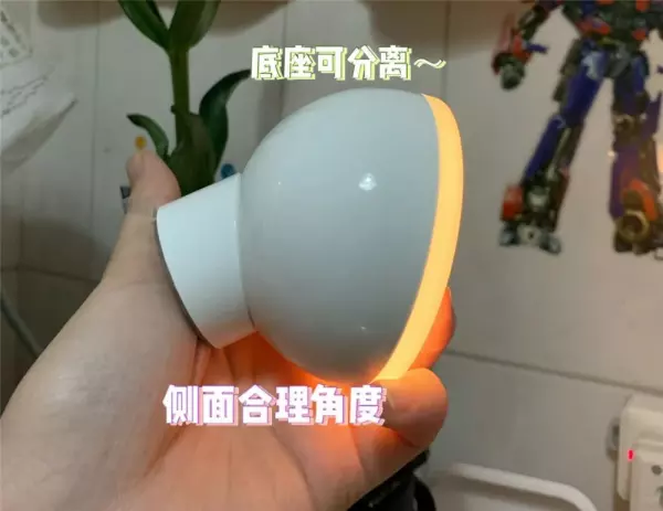生活小家电有哪些产品(9)