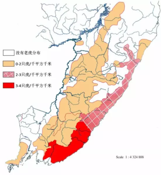 思虎公羊是什么车(2)