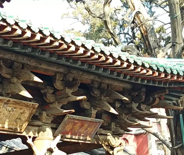 副阶周匝和金厢斗底槽的区别(7)