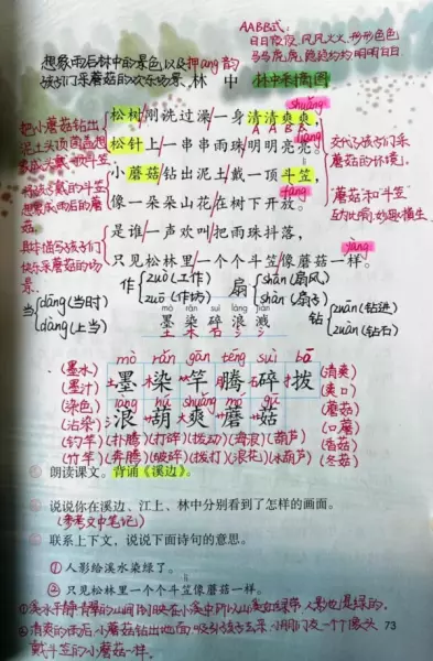小蘑菇钻出泥土戴一顶斗笠的意思(2)