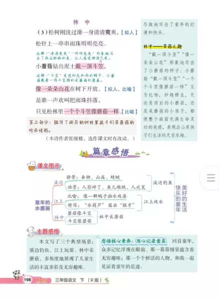 小蘑菇钻出泥土戴一顶斗笠的意思(9)