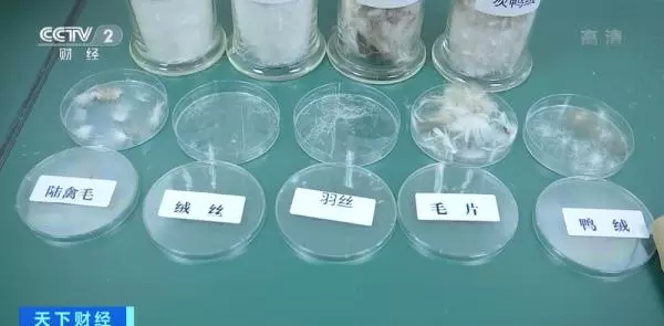 绒子含量和含绒量的区别(2)