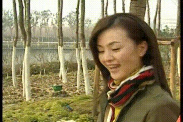 白领公寓是什么.