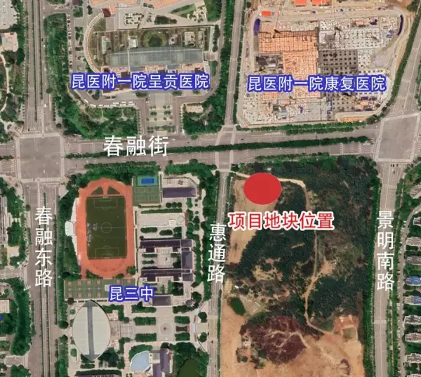 kcc集团是500强吗(1)