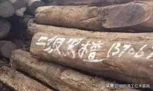 沉贵宝是什么木有香味吗(4)
