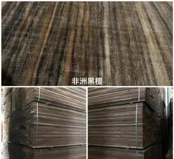 爱里古夷苏木和北美黑胡桃哪个名贵(10)