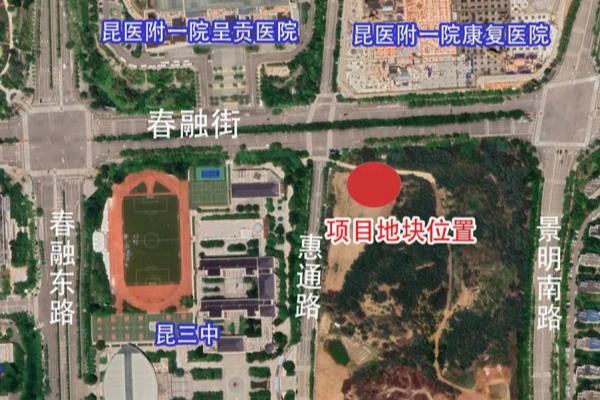 kcc集团是500强吗.