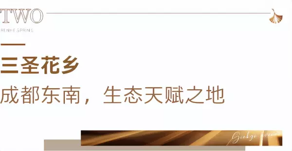 仁和春天大道属于哪个街道(7)