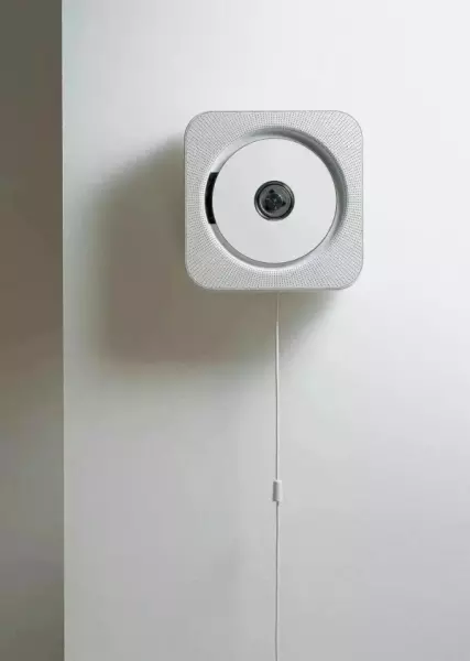 雷蒙德罗维是什么主义(19)