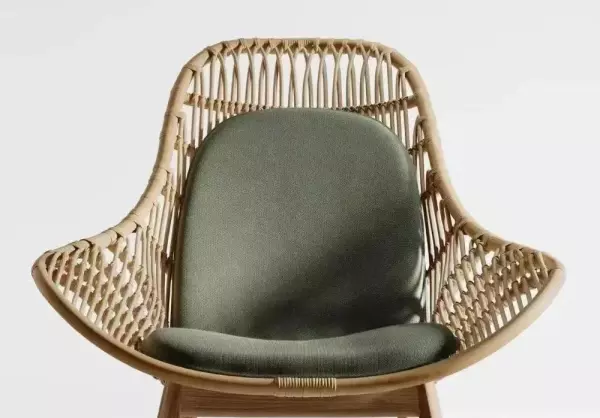 雷蒙德罗维是什么主义(20)