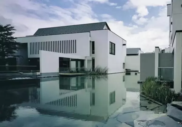 雷蒙德罗维是什么主义(31)