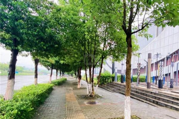 盛丰建材网在重庆市哪里.