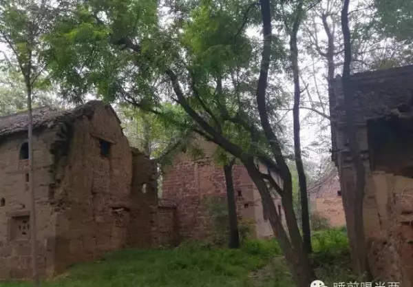 鸿畅是什么意思(4)