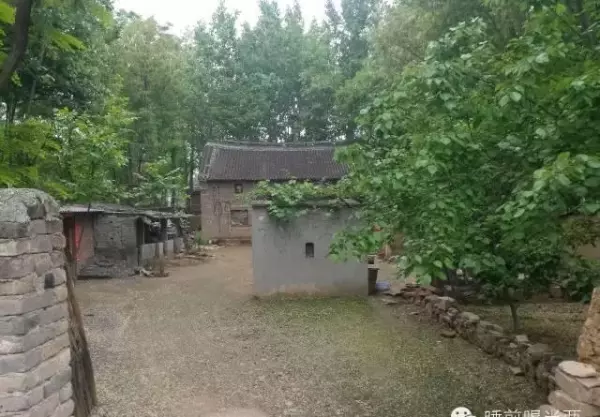 鸿畅是什么意思(6)