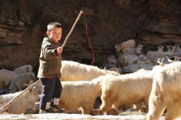一根木棍吊个方箱一把梯子搭在中央谜底是什么.