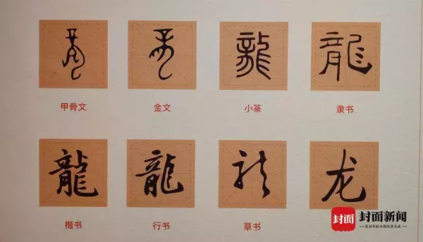 水龙头的龙字的拼音怎么写(3)