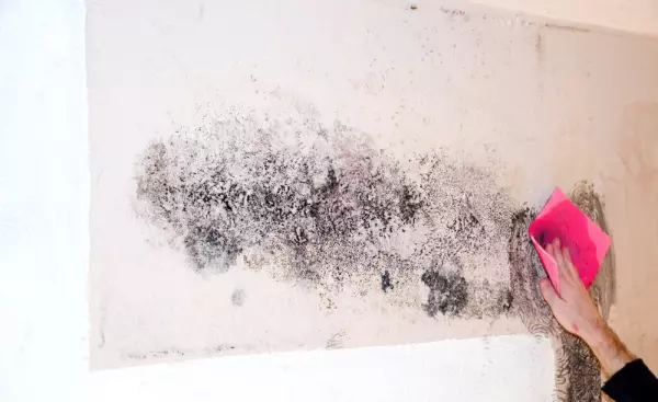 干墙体怎么刮腻子的(2)