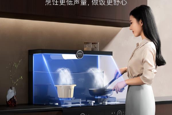 黑电和白电是什么意思.