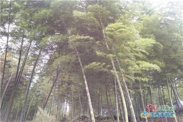 龙溪山庄地址 电话 价格.