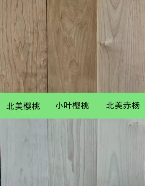 赤杨木属于什么档次的品牌(7)