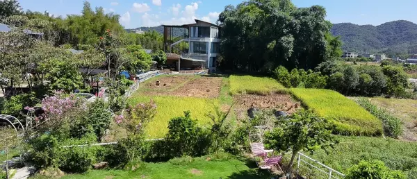 沙径温泉村在哪里(57)