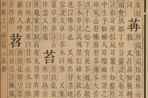 莨苕怎么读拼音.