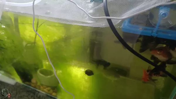 erco水泵是什么品牌(6)