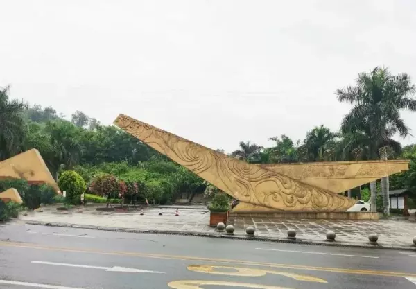 和门口的三角梅到底有多少颜色(1)