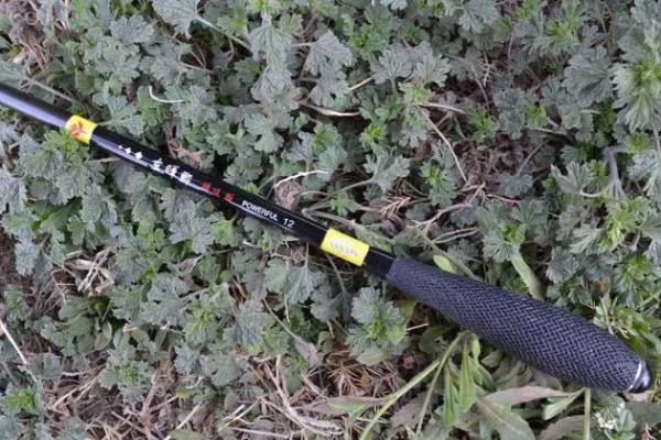 米卡多鱼竿怎么样.