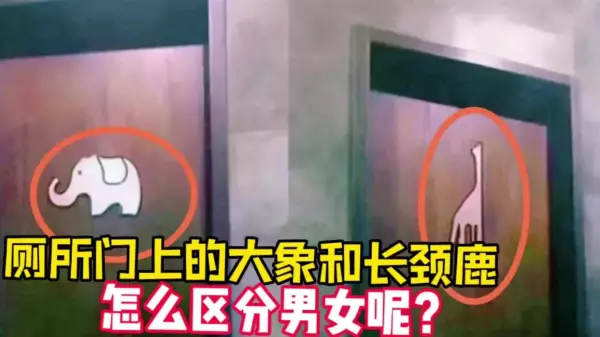 厕所长颈鹿是代表什么大象代表什么(2)