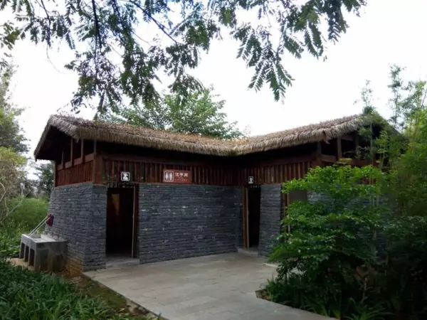 厕所长颈鹿是代表什么大象代表什么(7)