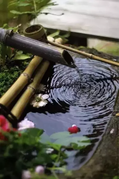 日式庭院中水流的竹子叫什么(10)