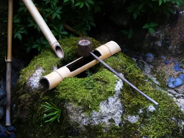 日式庭院中水流的竹子叫什么(11)