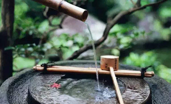 日式庭院中水流的竹子叫什么(12)