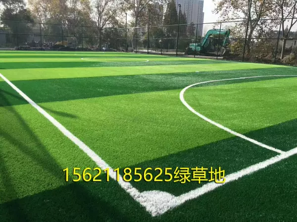 室内足球场建设大概要多少费用(1)