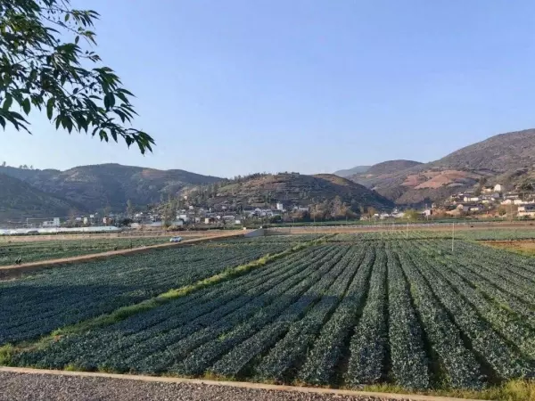 我有一块地怎么挣钱(1)
