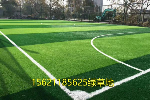 室内足球场建设大概要多少费用.