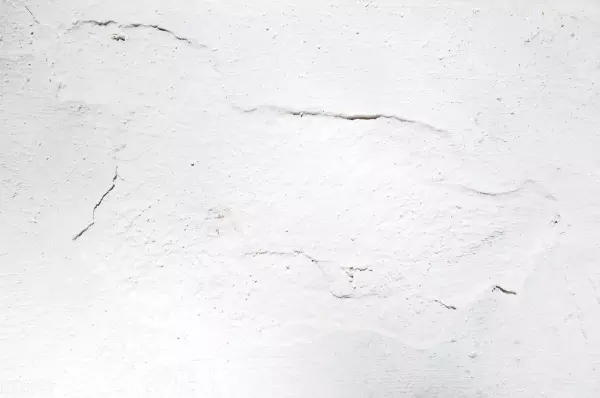 遮盖力最好的白色涂料是什么(2)