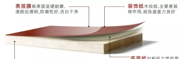 桉木属于什么档次的实木(11)