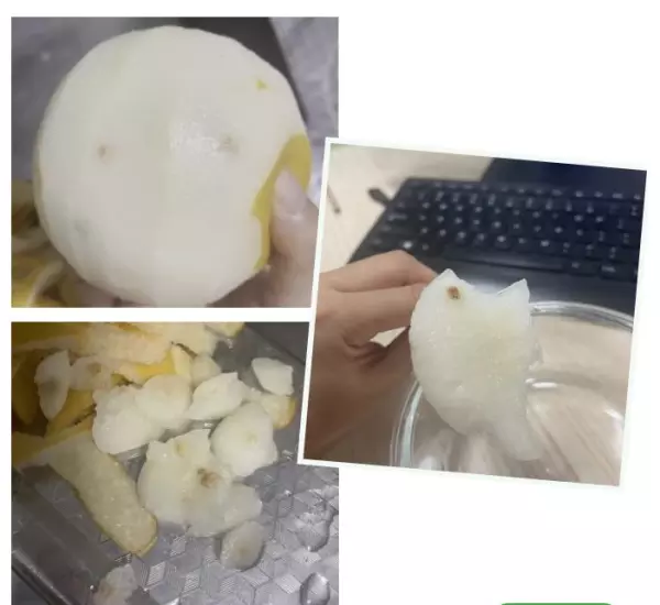 木栓病的秋月梨是什么原因引起的(1)